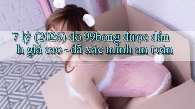 7 lý (2026) do 99bong được đánh giá cao   đã xác minh an toàn